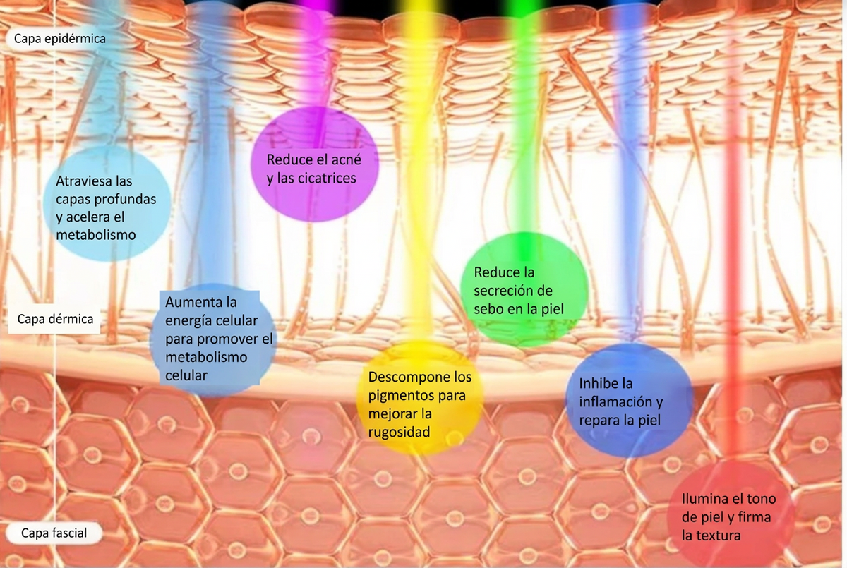 Máscara facial LED de 7 colores
